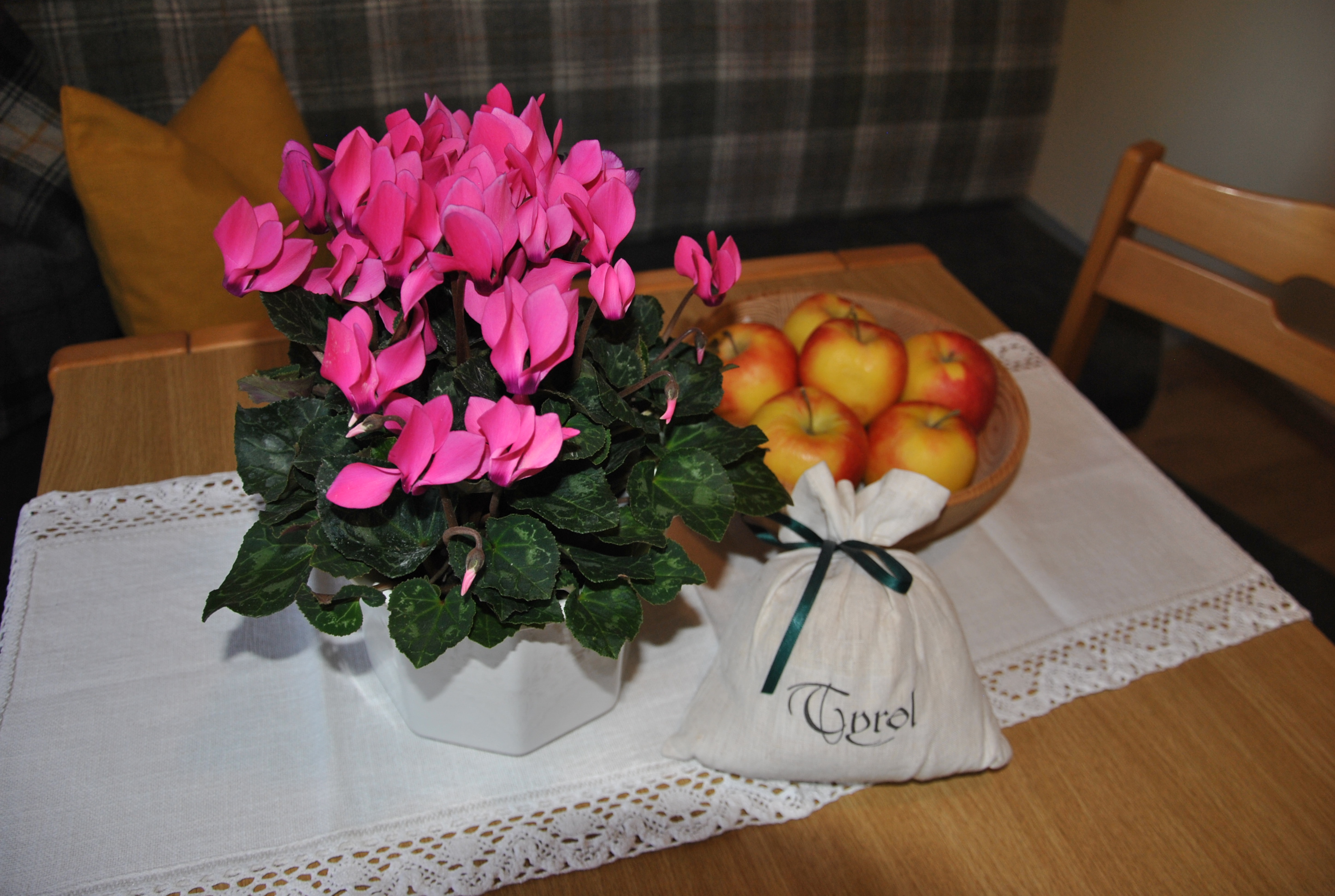 Ferienwohnung_Sonnwendjoch_Reith_Hechenblaikner_Tirol_Alpbachtal_Pension_Luggi